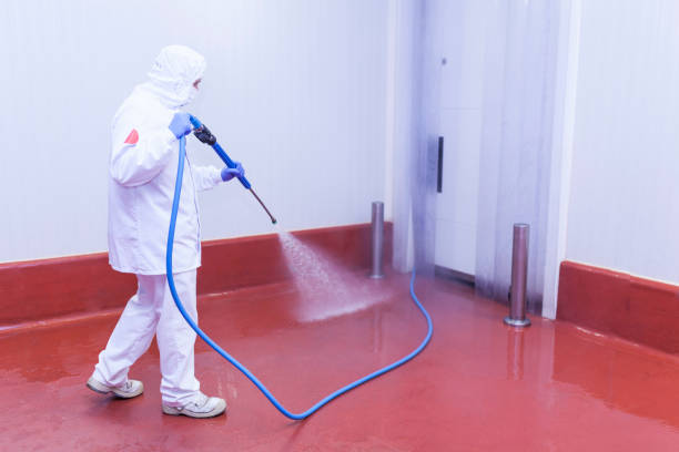 Best Soft Washing  in Willowbrook, CA